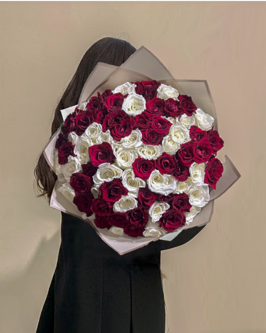 50 Red & white Rose