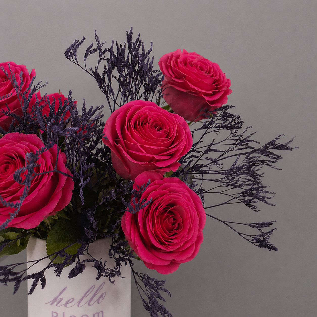 Fuchsia Burst