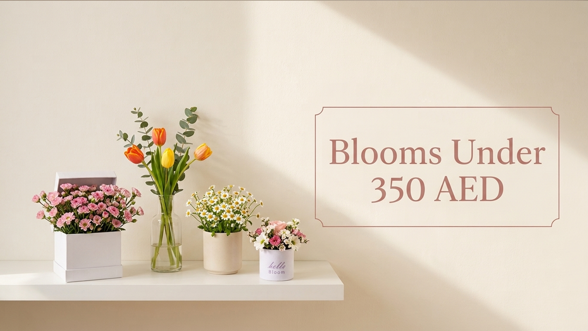 Blooms Offers %
