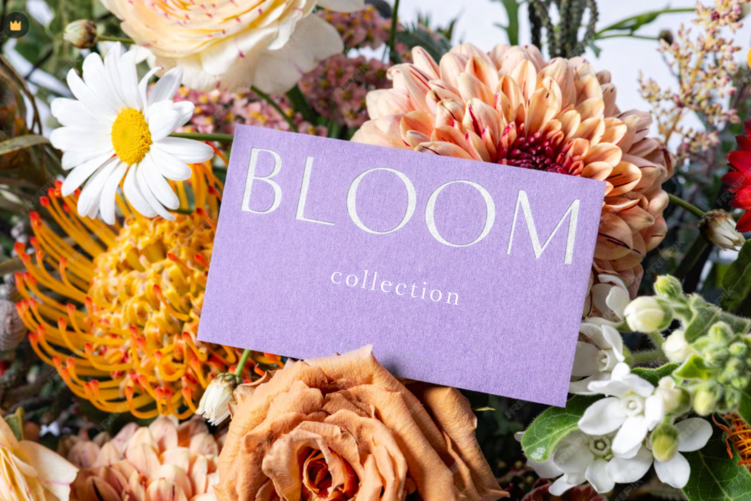 Bloom Collection
