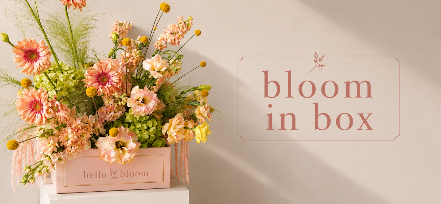 Blooms In Boxes