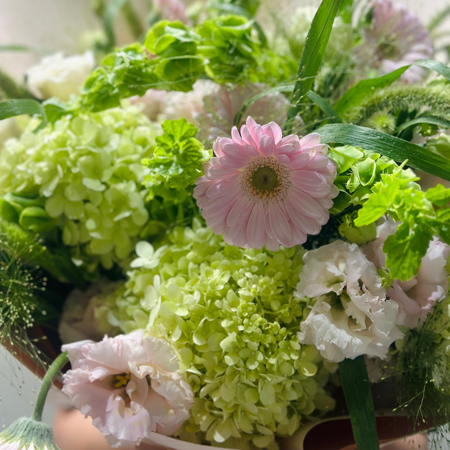 Green Beauty - Large