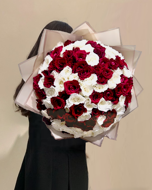 Imperial Red & White 100 Roses