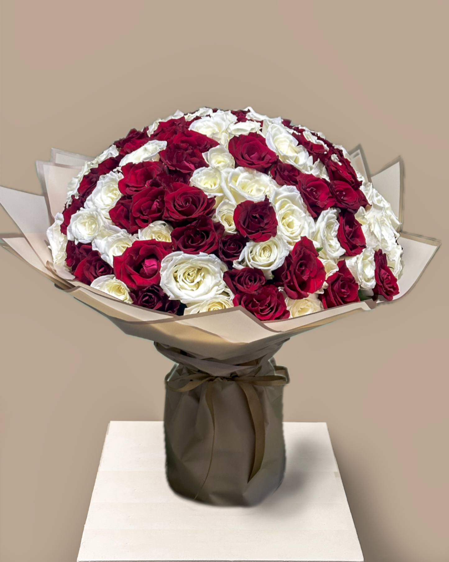Imperial Red & White 100 Roses