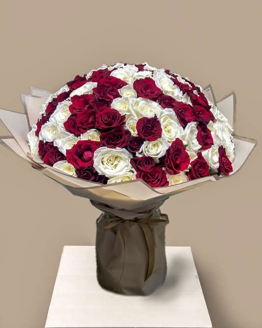 Imperial Red & White 100 Roses