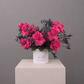 Fuchsia Burst