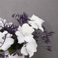 White Burst