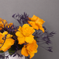 Orange Burst