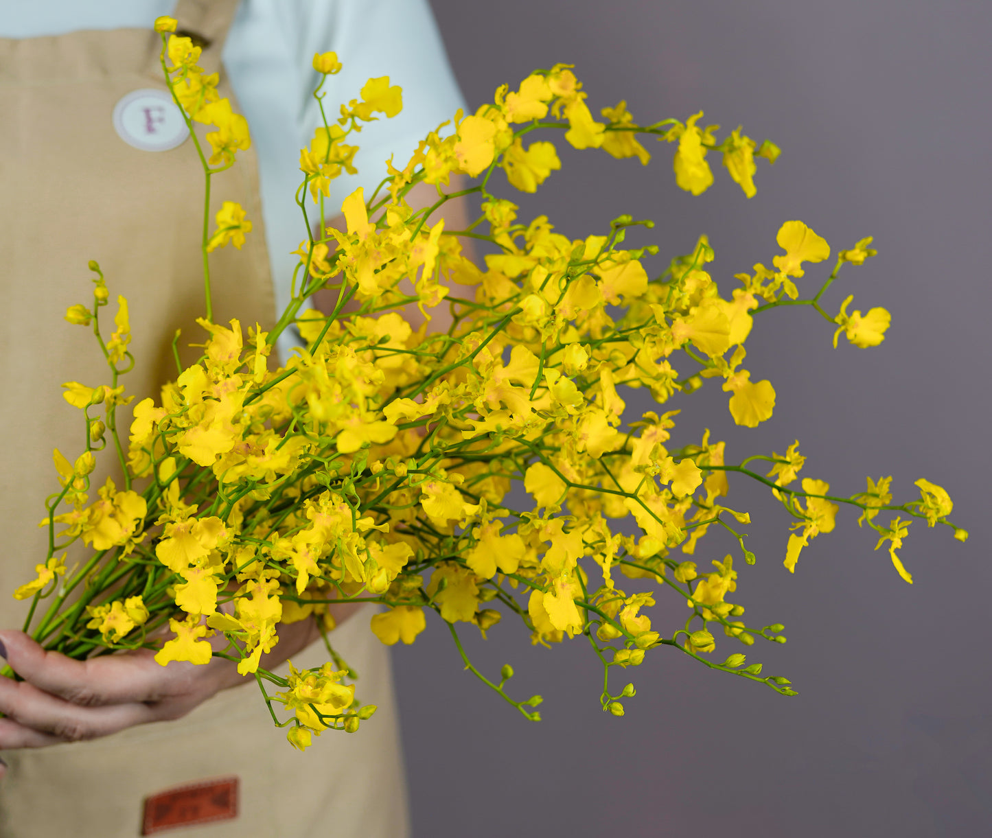 Bunch of Oncidium