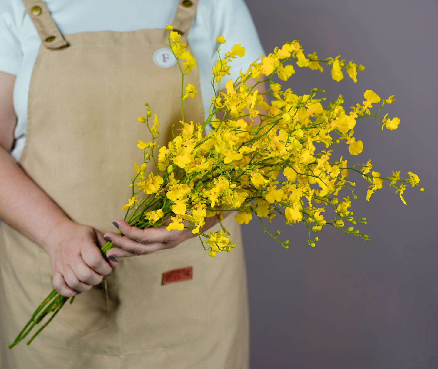 Bunch of Oncidium
