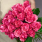 Bunch of Roses - Pink Love